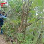 Kantah Klungkung Gelar Sidang Panitia A di Nusa Penida untuk Perkuat Kepastian Hukum Tanah Masyarakat