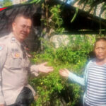 Polres Gianyar Dorong Pemanfaatan Pekarangan untuk Dukung Ketahanan Pangan.
